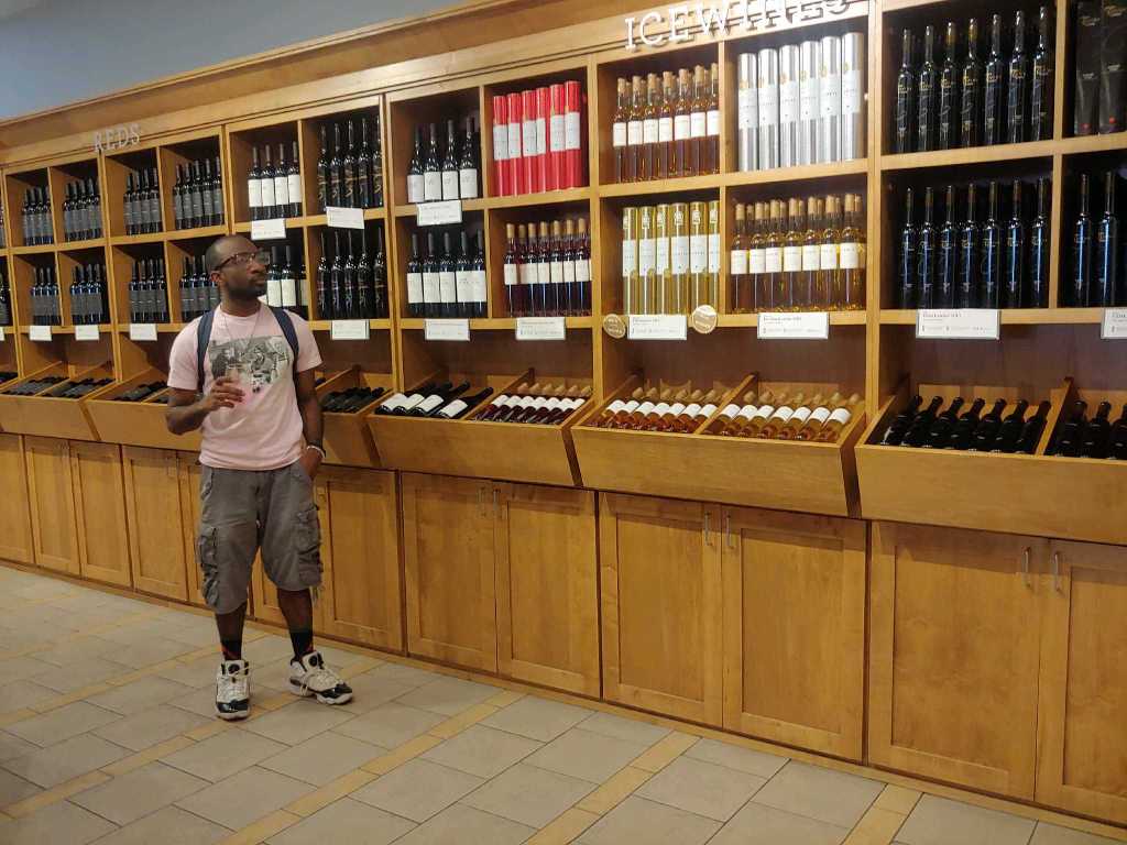 The Hedonist's Chronicles